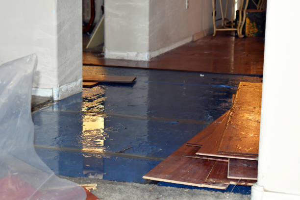 Professional Water Damage Restoration technician working in Franklin, LA